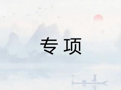 专项