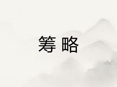 筹略