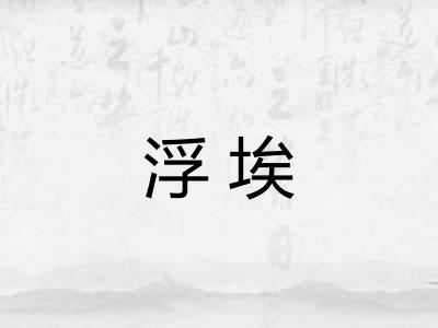 浮埃