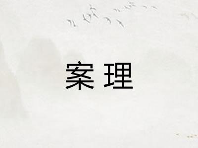 案理