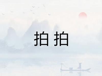 拍拍