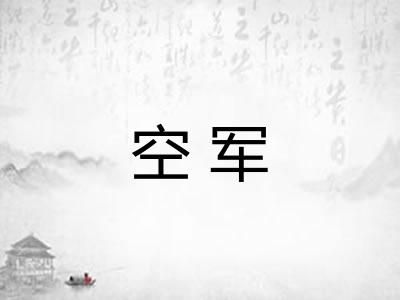 空军 空军