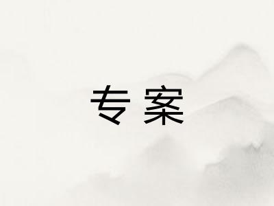 专案
