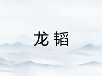 龙韬