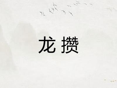 龙攒