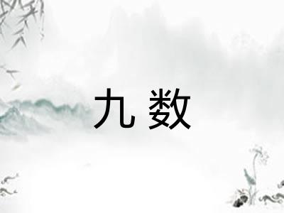 九数