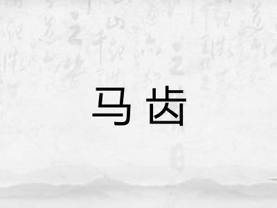 马齿