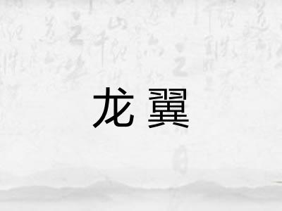 龙翼