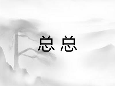 总总