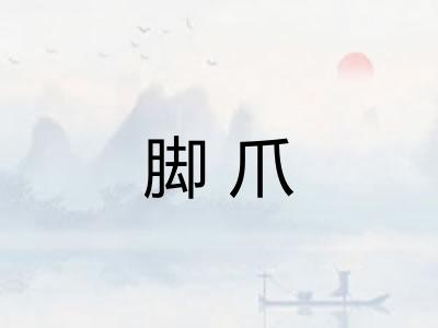 脚爪