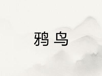 鸦鸟
