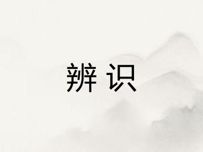 辨识