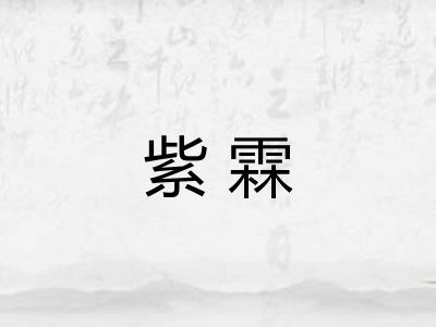 紫霖