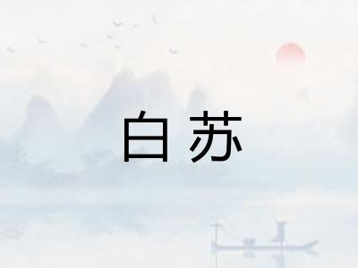 白苏
