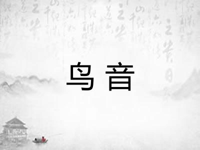 鸟音