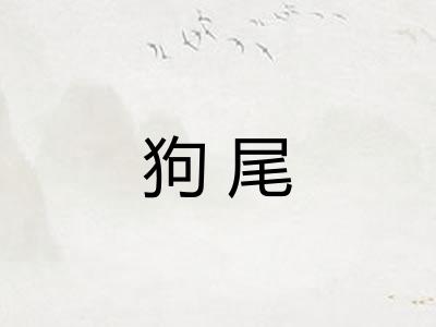 狗尾