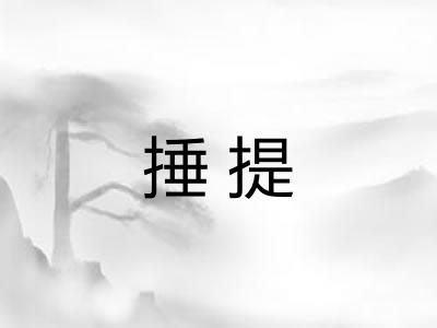 捶提