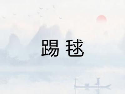 踢毬