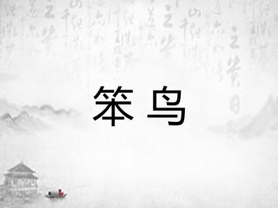 笨鸟
