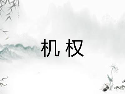 机权