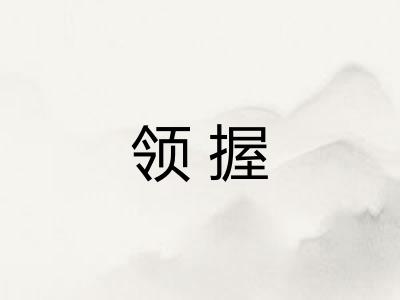 领握