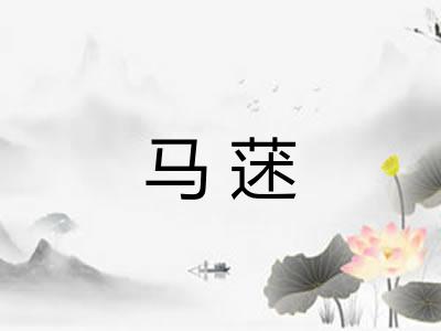 马蒁