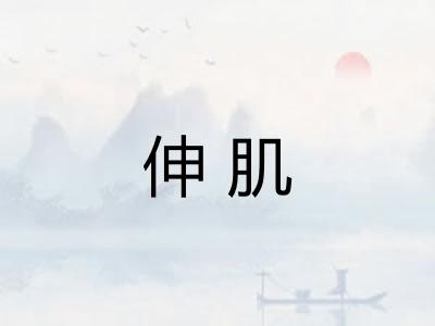 伸肌