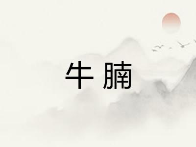 牛腩