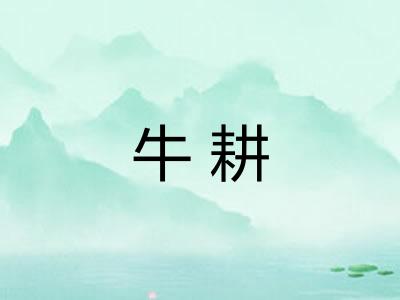 牛耕
