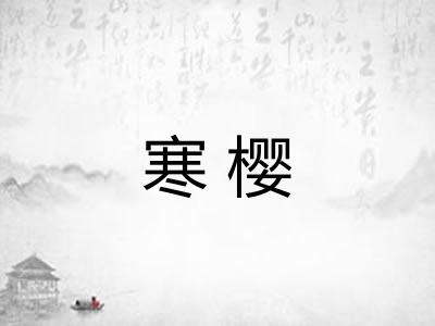 寒樱