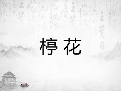 楟花
