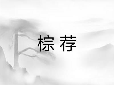 棕荐