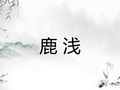 鹿浅