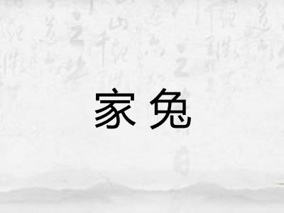 家兔