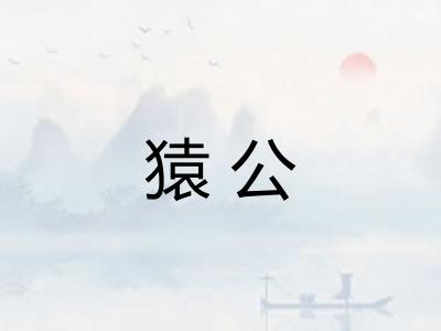 猿公