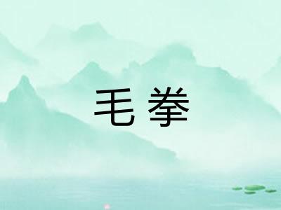 毛拳