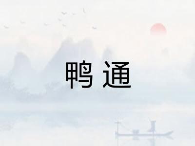 鸭通
