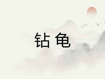 钻龟