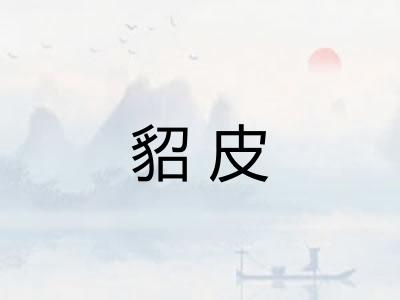 貂皮