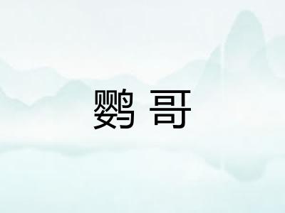 鹦哥