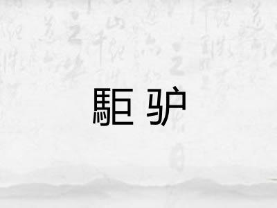 駏驴