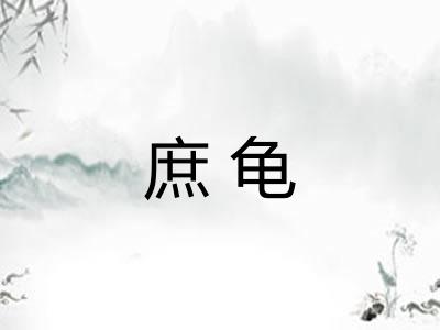 庶龟