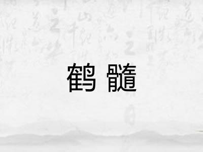 鹤髓