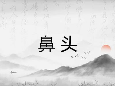 鼻头