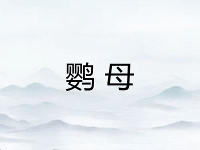 鹦母
