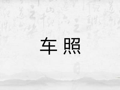 车照