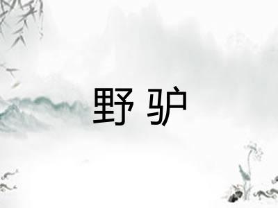 野驴