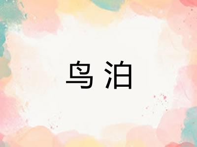 鸟泊