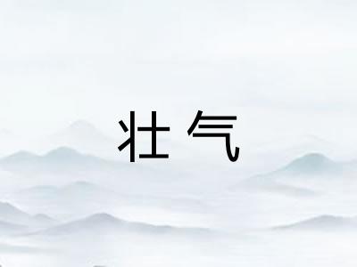 壮气