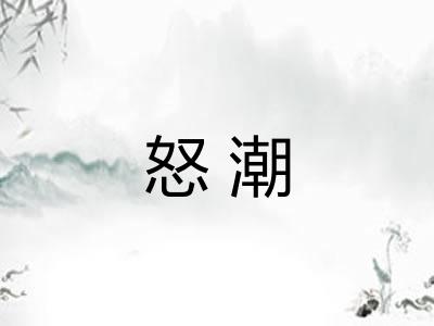 怒潮